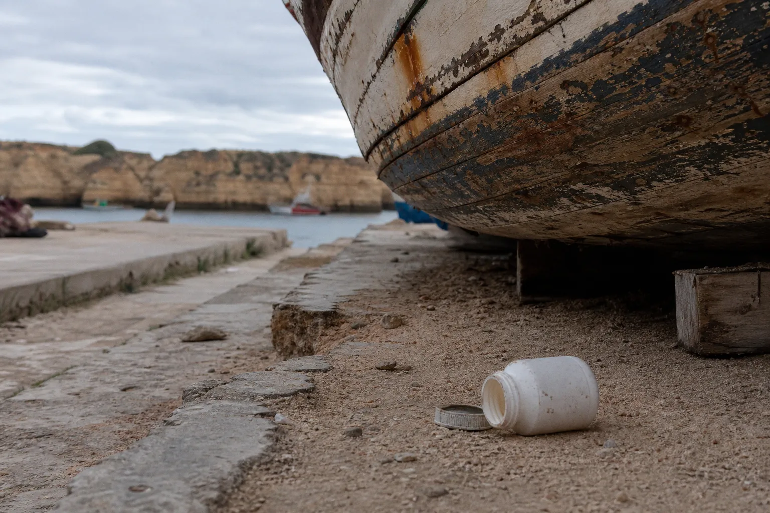Algarve Wildlife Watching Albufeira Preise: Kostenfallen erkennen