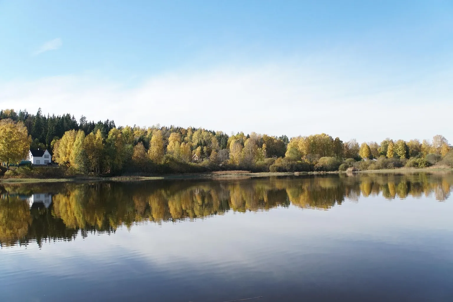 Forest Lagoon Eintritt: Planung und Tipps für Ihren Besuch