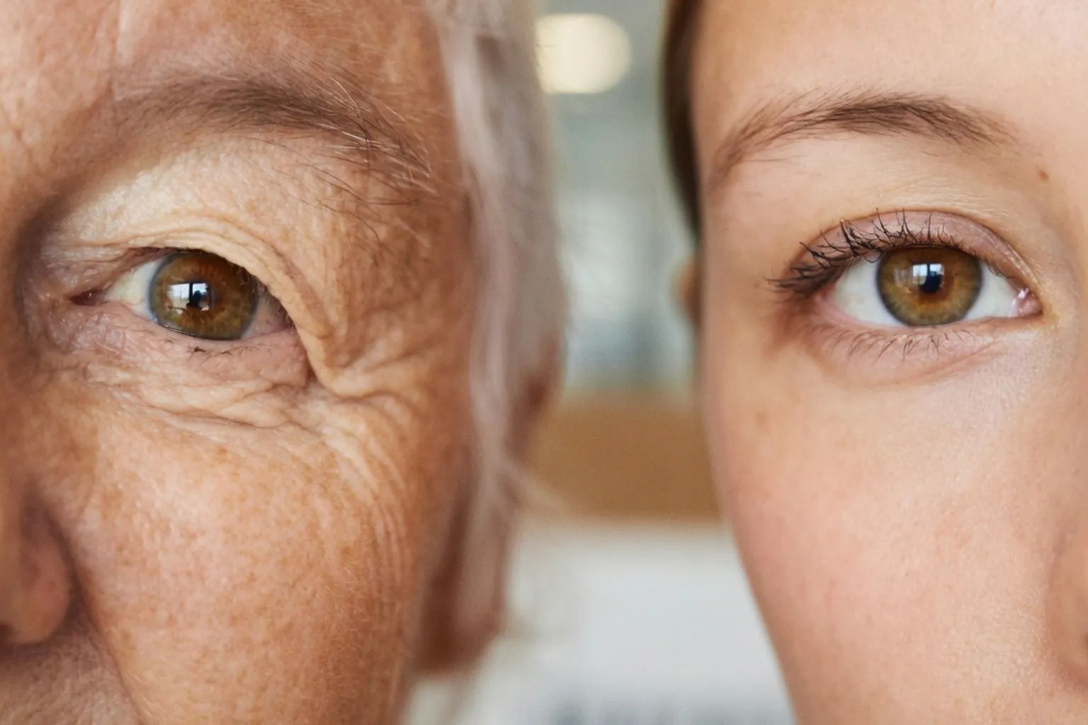 Longevity-Kliniken: Was bringen teure Behandlungen für ein längeres Leben wirklich?