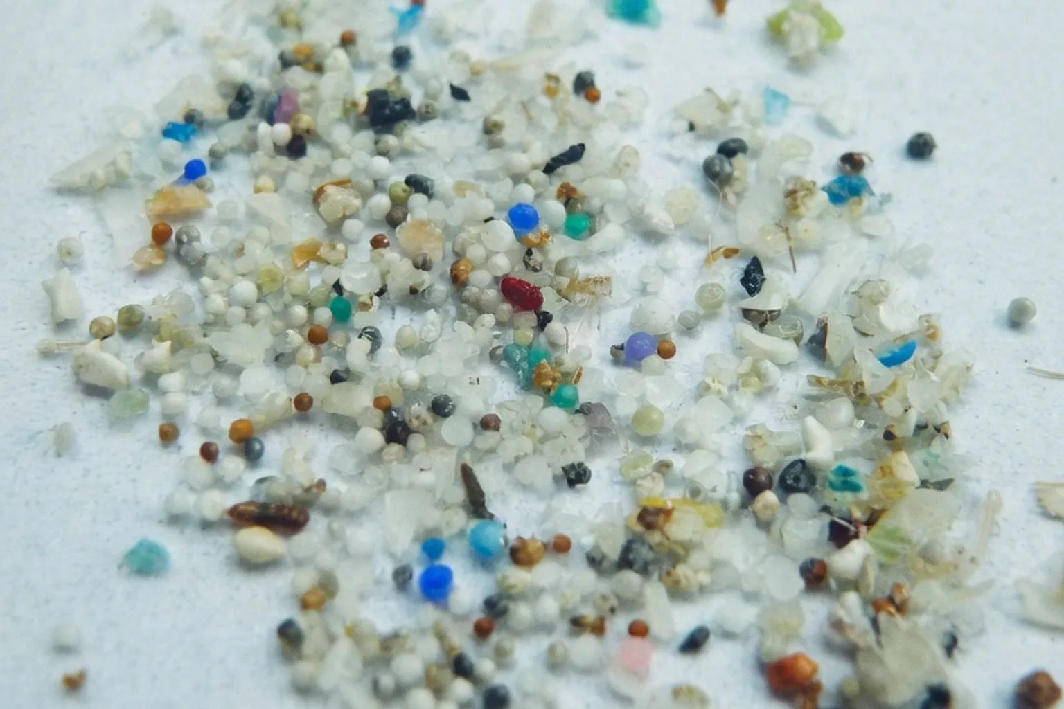 Mikroplastik im Körper: Wie Kunststoffpartikel unsere Zellgesundheit schleichend gefährden