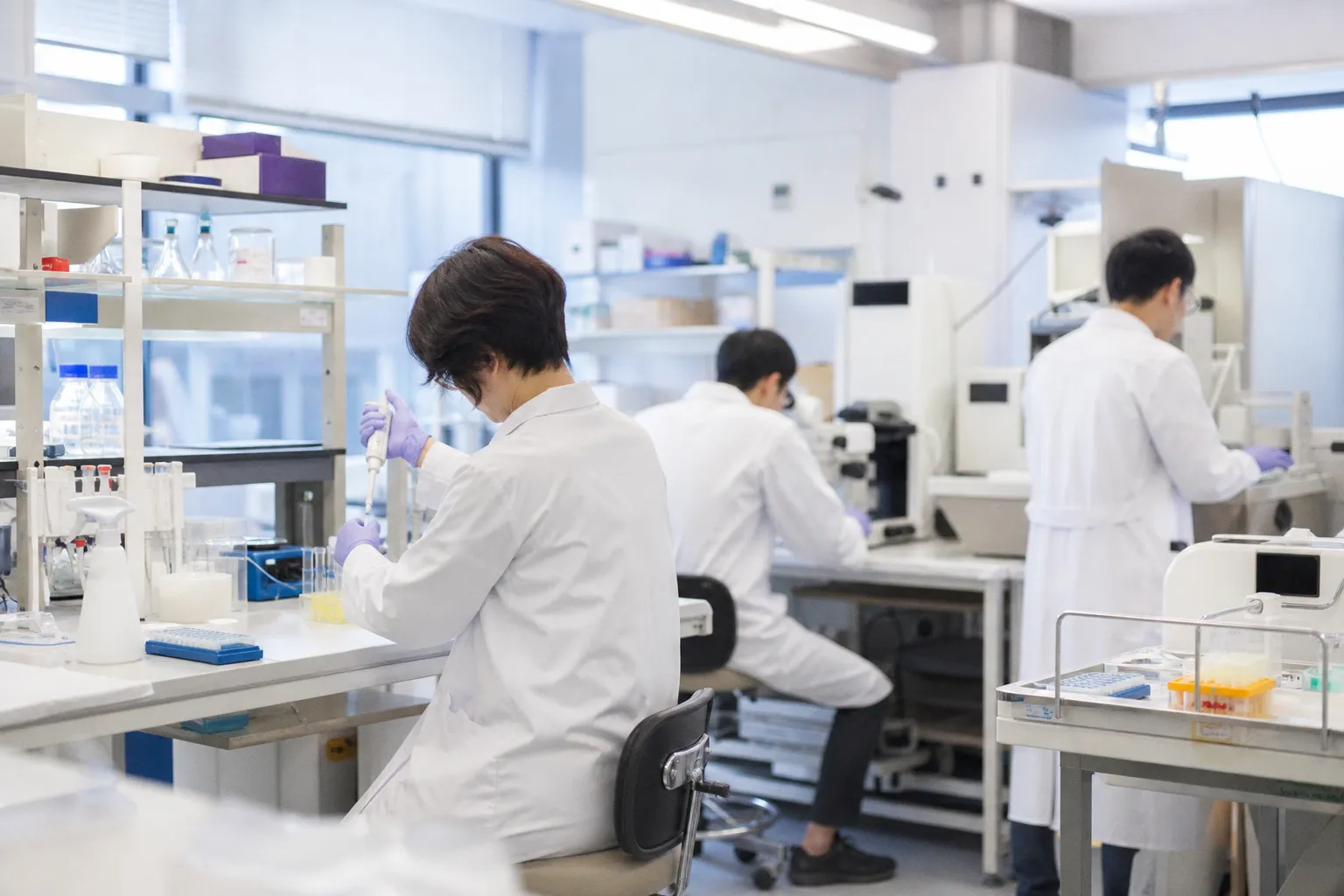 Muskelschwund im Alter: Kyushu-Forschung zeigt neue Ansätze zur Zellregeneration