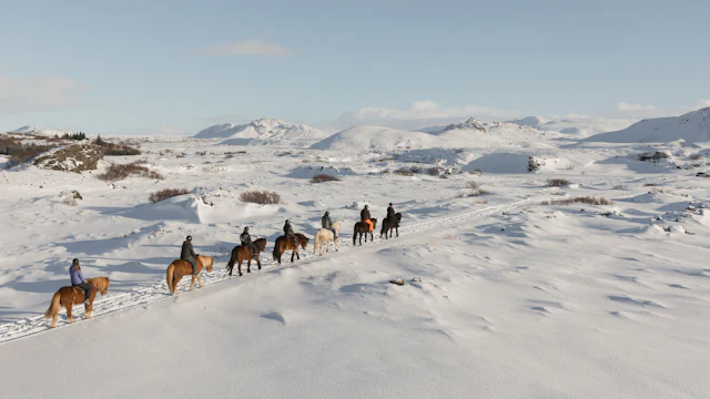 Reitstall Íshestar