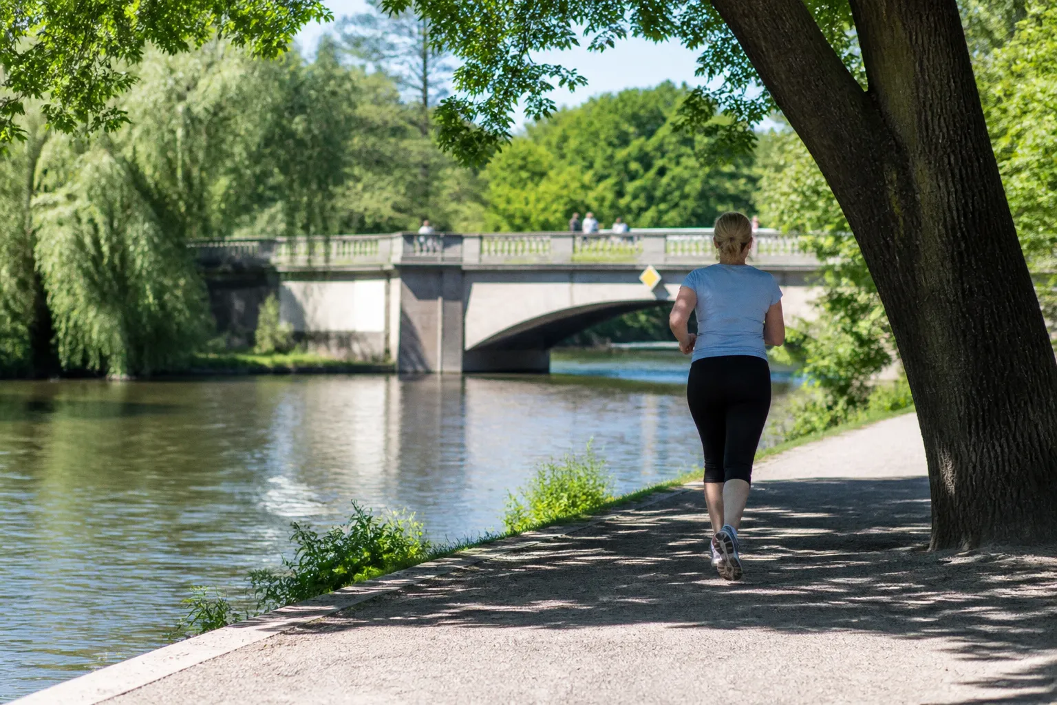 Warum der frühe Einsatz von Urolithin A das Gedächtnis im Alter schützen kann