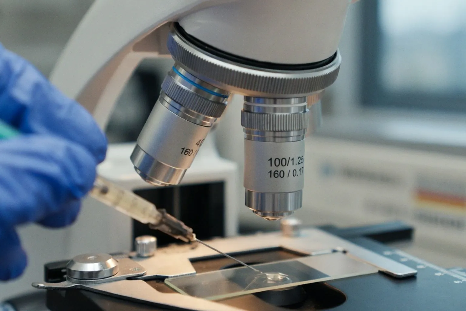 Wie das Protein E-Cadherin als zellulärer Müllabfuhr-Helfer Entzündungen stoppt