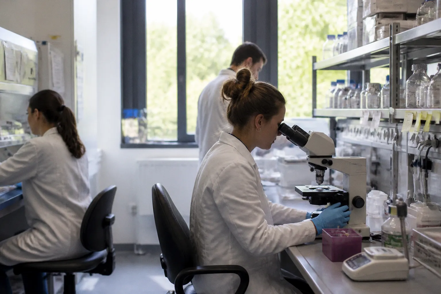 Wie mitochondrialer Stress durch ELT-2-Aktivierung die Zellalterung bremst