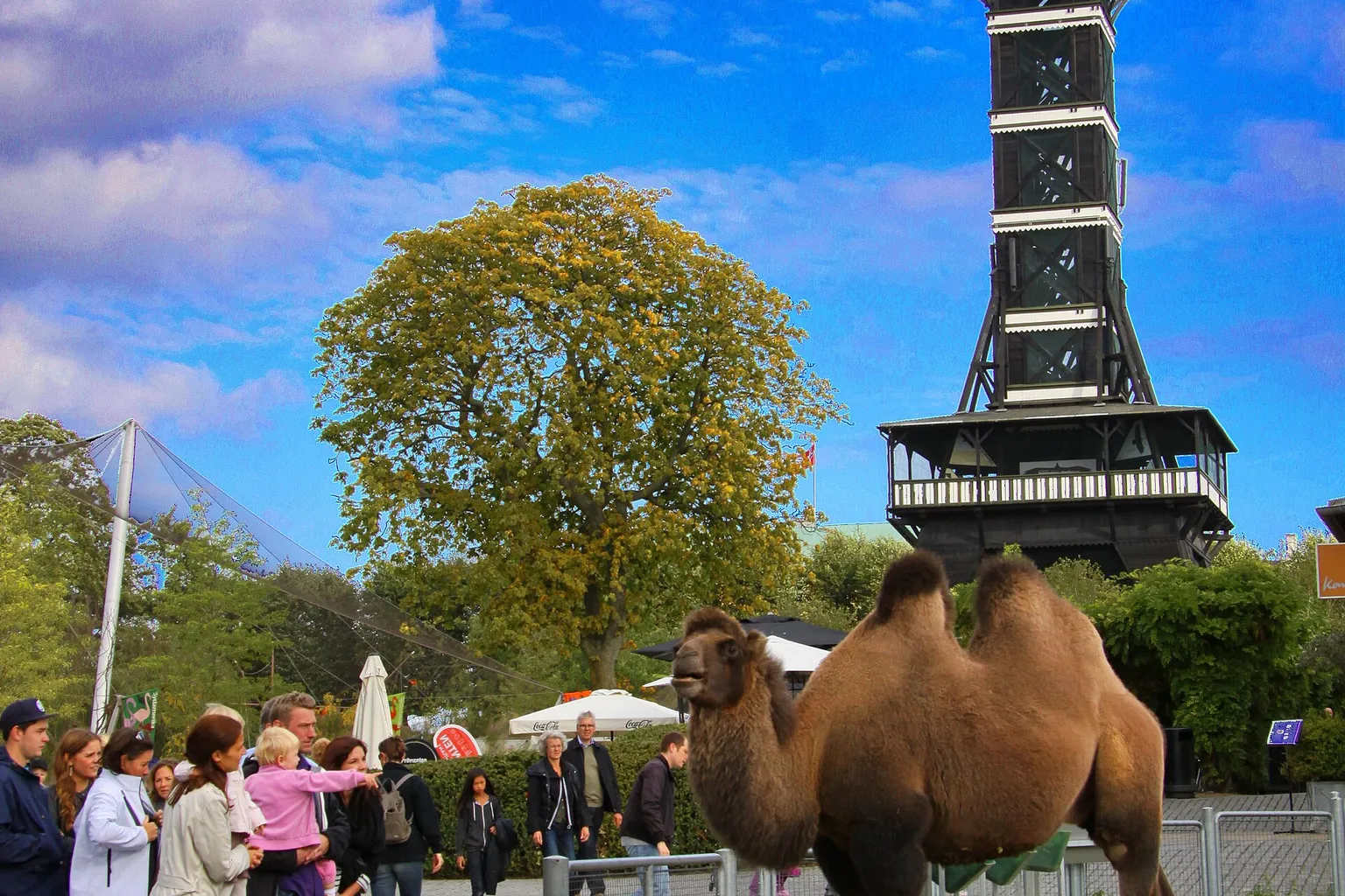 Zoo Kopenhagen Eintritt: Der Biophilie-Effekt einfach erklärt